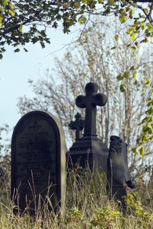 c63-undercliffe 15 october 2011 2 sm.jpg